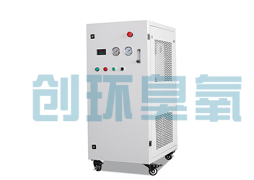 昌平石斑鱼养殖水质调控完整指南:臭氧发生器配置与操作步骤