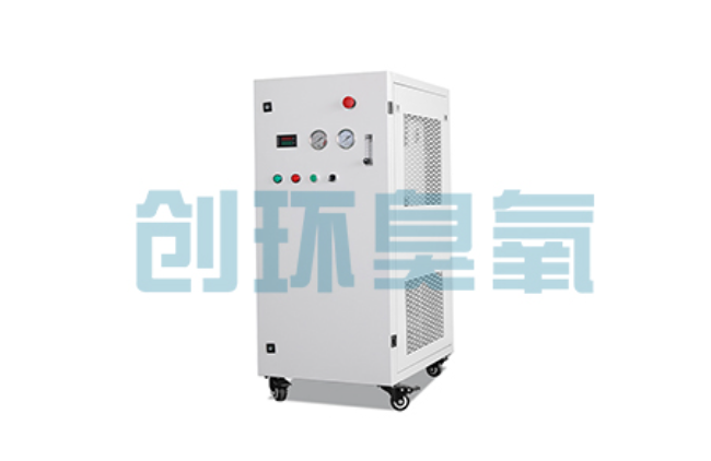 昌平比传统换水更高效?臭氧发生器在石斑鱼养殖中的水质净化原理解析