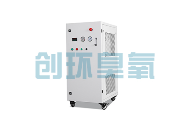 昌平比传统换水更高效？臭氧发生器在石斑鱼养殖中的水质净化原理解析